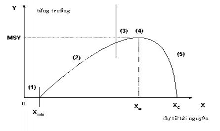 Khả Năng Phục Hồi Của Tài Nguyên Không Khí, Nước Và Đất