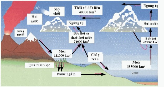 Hình 1 Sơ đồ chu trình tuần hoàn nước Trong chu trình tuần hoàn nước nước 2