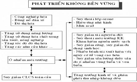 Thành Phần Rác Thải Ở Gia Đình Tại Các Thành Phố Khác Nhau (%)