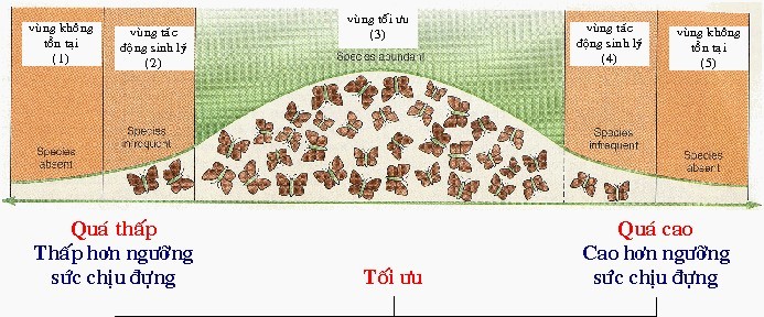 Hình 9 Giới hạn sinh thái Nguyên tắc về các giới hạn khả năng chịu đựng 24