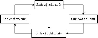 Hình 6 Cấu trúc tóm tắt của hệ sinh thái Để duy trì chất lượng môi trường 7