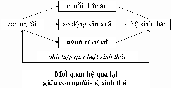 Trong quá trình phát triển con người đã tác động vào hệ sinh thái tự nhiên 11