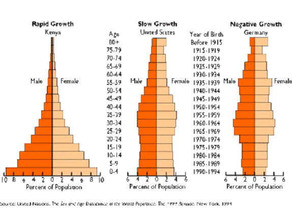 Hình 1 Các dạng tháp tuổi cơn bản Hình 2 Tháp dân số Mexico năm 1980 và 2050 Năm 38