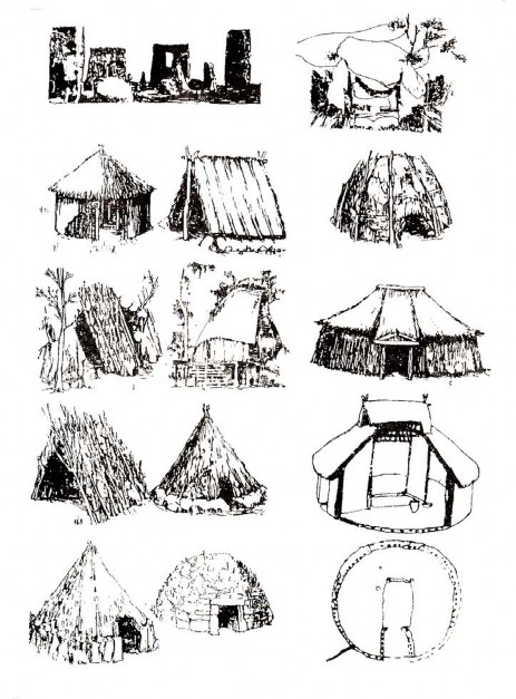 Hình 2 Hình thức nhà ở bằng lều tranh lá 1 1 2 Kiến trúc nhà ở thời kỳ 2