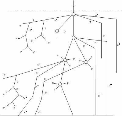 Hình 1 1 Thành phần tia vò trụ ở mặt đất b Thành phần cứng Đó là các hạt 1