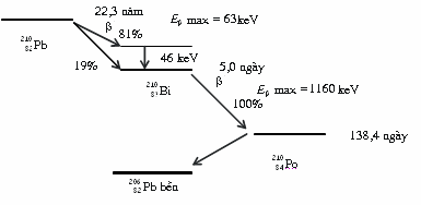 Hình 1 4 Sơ đồ phân rã của 210 Pb Trong một số trường hợp quan tâm đến vùng 2