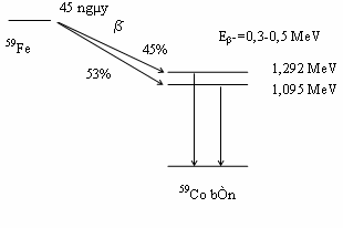 Hình 2 2 Sơ đồ phân rã của 59 Fe Một khối lượng nhỏ như vậy quả thật 1