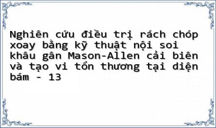 Biểu Đồ Biểu Thị Mối Liên Quan Giữa Kích Thước Rách Và Số Vi Tổn Thương Sử Dụng