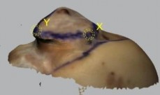 Hình 4 4 Minh hoạ vị trí tương quan các điểm các bờ của diện bám trên không 4