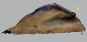 Hình 4 4 Minh hoạ vị trí tương quan các điểm các bờ của diện bám trên không 5