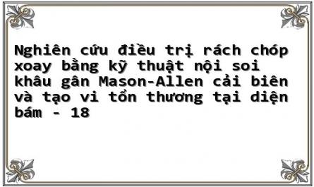 Kết Quả Chất Lượng Cuộc Sống Và Chức Năng Khớp Vai Sau Mổ