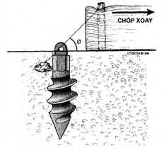 Hình 1 27 Minh hoạ sự tương tự của cấu trúc trụ neo cột với chỉ neo khâu CX 1