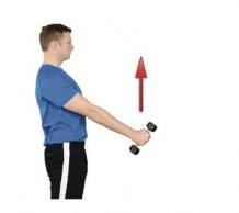 Hình 21 Bài tập tập gấp cánh tay ra trước với tạ Hình 22 Bài tập dạng ở tư 15