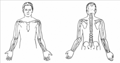 3 Anh chị có đau vai vào ban đêm không Có Không 4 Anh chị có dùng thuốc giảm đau 1