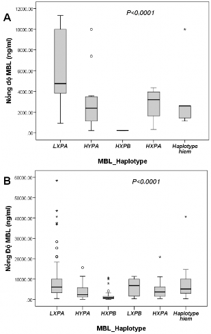 P Mann–Whitney U test Hình 3 27 Nồng độ protein MBL trên các kiểu gen đơn bội khác 8