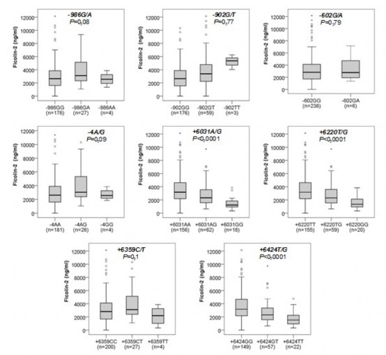 p Kruskal–Wallis test Hình 3 28 So sánh nồng độ protein Ficolin2 giữa các kiểu gen 9