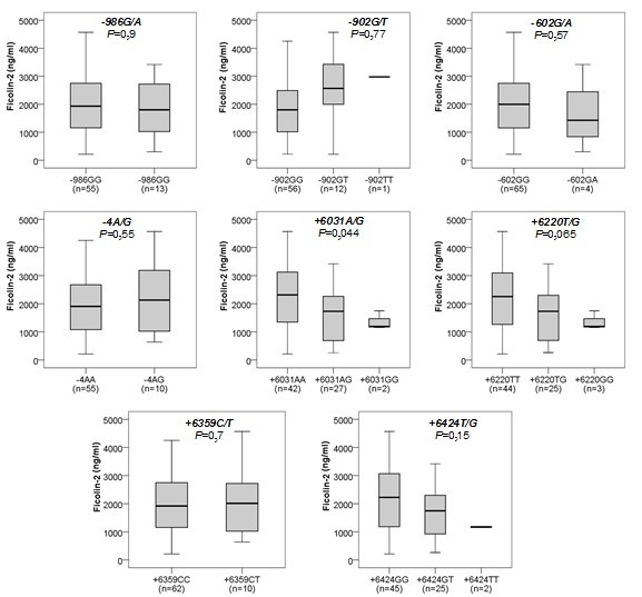 p Kruskal–Wallis test Hình 3 29 So sánh nồng độ protein Ficolin2 giữa các kiểu gen 1