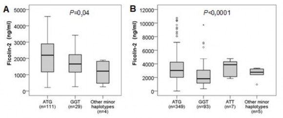 p Mann–Whitney U test Hình 3 30 So sánh nồng độ protein Ficolin2 giữa các kiểu gen 2