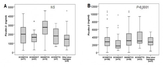 p Mann–Whitney U test Hình 3 31 So sánh nồng độ protein Ficolin2 giữa các kiểu gen 3