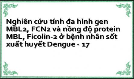 Về Tính Đa Hình Gen Mbl2, Fcn2 Và Nồng Độ Protein Mbl, Ficolin­ 2 Ở Các Nhóm Đối Tượng Nghiên