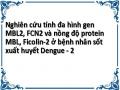 Nghiên cứu tính đa hình gen MBL2, FCN2 và nồng độ protein MBL, Ficolin-2 ở bệnh nhân sốt xuất huyết Dengue - 2