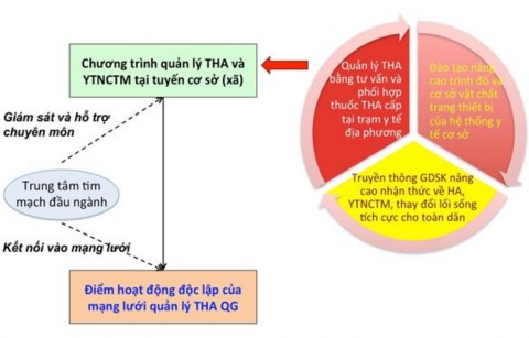Hình 1 1 Mô hình quản lý tăng huyết áp tại tuyến cơ sở Nguồn Bộ Y tế báo 1