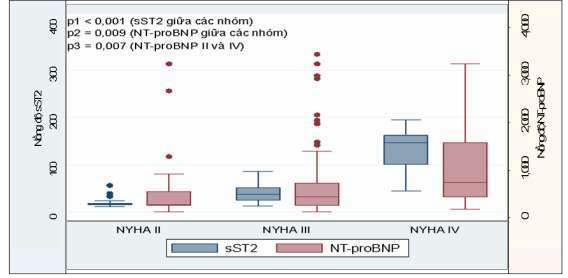 Biểu đồ 3 17 Phân bố nồng độ sST2 và NT proBNP theo phân độ chức năng NYHA 3 3 1