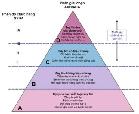 Hình So sánh phân độ NYHA và giai đoạn suy tim mạn theo ACC AHA Nguồn Braunwald 39 s 1