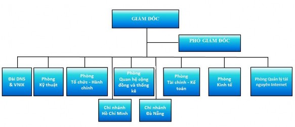 1 1 3 Lĩnh vực hoạt động Thực hiện việc cấp phân bổ ngừng tạm ngừng thu 1