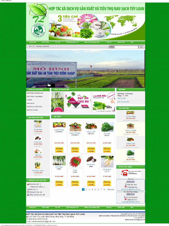 Hình 3 5 Giao diệ ệ n củ ủ a website rau sạ ạ ch Túy Loan 3 3 1 Mô tả website 5