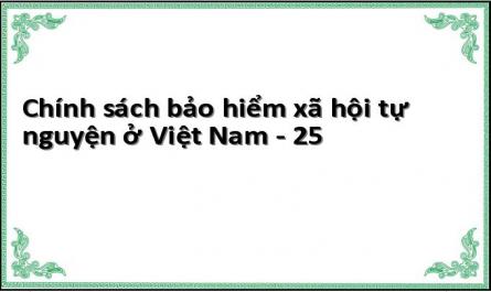 Chính sách bảo hiểm xã hội tự nguyện ở Việt Nam - 25