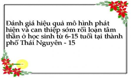 Cơ Chế Hoạt Động Và Các Hoạt Động Cụ Thể Của Mô Hình Can Thiệp