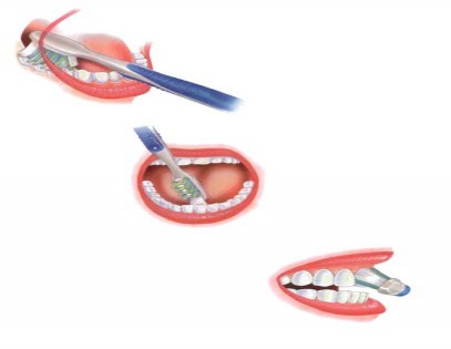 QUY TRÌNH ĐÁNH RĂNG Lấy kem đánh răng Lấy nước Súc miệng Đánh răng Cất bàn 1