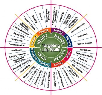 Sơ đồ 1 Mô hình kỹ năng sống 4 H Steve McKinley 1 HEAD Nhận thức – trí não 1