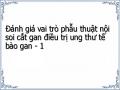 Đánh giá vai trò phẫu thuật nội soi cắt gan điều trị ung thư tế bào gan - 1