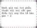 Đánh giá vai trò phẫu thuật nội soi cắt gan điều trị ung thư tế bào gan - 2