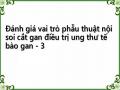 Các Phương Tiện Chẩn Đoán Hình Ảnh Hiện Đại: Chụp Cắt Lớp Điện Toán (Cclđt) Hay Cộng Hưởng Từ (Cht)