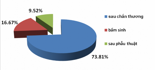Biểu đồ 3 2 Nguyên nhân gây nghẹt mũi 100 bệnh nhân có triệu chứng nghẹt mũi 2