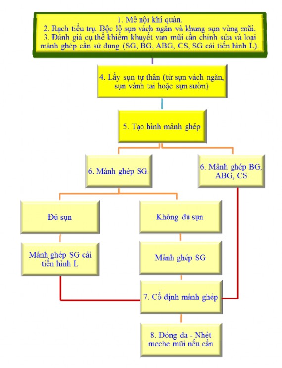 Sơ đồ 2 1 Quy trình phẫu thuật 2 2 4 3 Hậu phẫu Điều trị sau phẫu thuật 11
