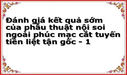 Đánh giá kết quả sớm của phẫu thuật nội soi ngoài phúc mạc cắt tuyến tiền liệt tận gốc - 1