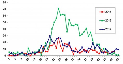 Tuần Biểu đồ 1 2 Số ca Tay Chân Miệng nhập viện tại Hồng Công Trung Quốc 1