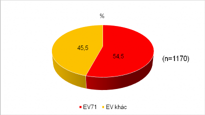 Biểu đồ 3 12 Kết quả RTPCR xác định EV71 và các EV khác Nh ậ n x é t 1170 3