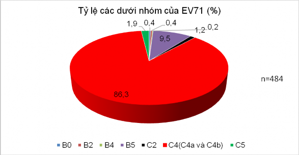 Biểu đồ 3 13 Tỷ lệ các dưới nhóm của EV71 Nhận xét Trong số các trường 1