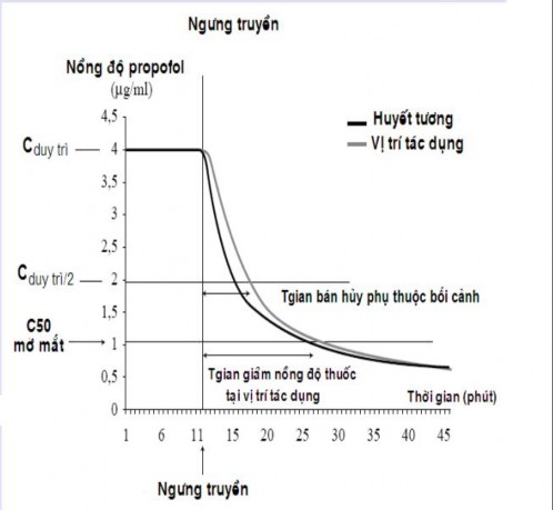 Hình 1 2 Thời gian bán hủy phụ thuộc bối cảnh 74 Thời gian bán hủy phụ thuộc 2