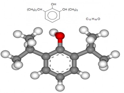 Hình 1 6 2 6 diisopropylphenol 125 1 3 2 Dược động học 1 3 2 1 Hấp thu Ngay sau khi 3