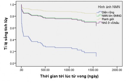 Biểu đồ 3 26 Phương trình sống còn theo hình ảnh nhồi máu não nhồi máu diện 1