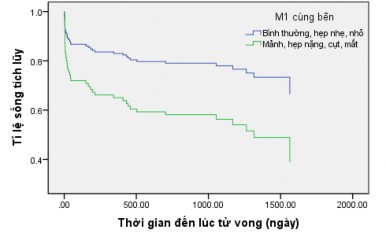 Biểu đồ 3 27 Phương trình sống còn theo tình trạng đoạn M1 cùng bên người có 2