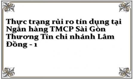 Thực trạng rủi ro tín dụng tại Ngân hàng TMCP Sài Gòn Thương Tín chi nhánh Lâm Đồng - 1
