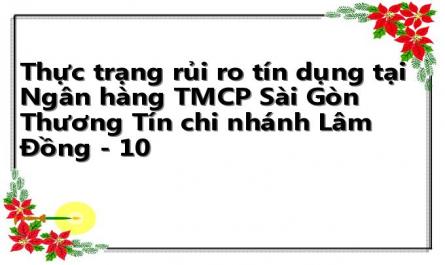 Thực trạng rủi ro tín dụng tại Ngân hàng TMCP Sài Gòn Thương Tín chi nhánh Lâm Đồng - 10
