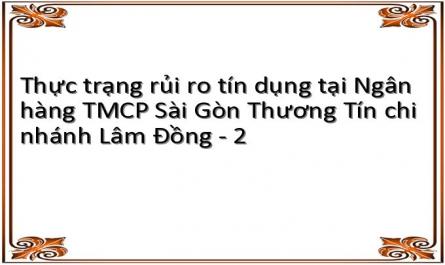 Thực trạng rủi ro tín dụng tại Ngân hàng TMCP Sài Gòn Thương Tín chi nhánh Lâm Đồng - 2
